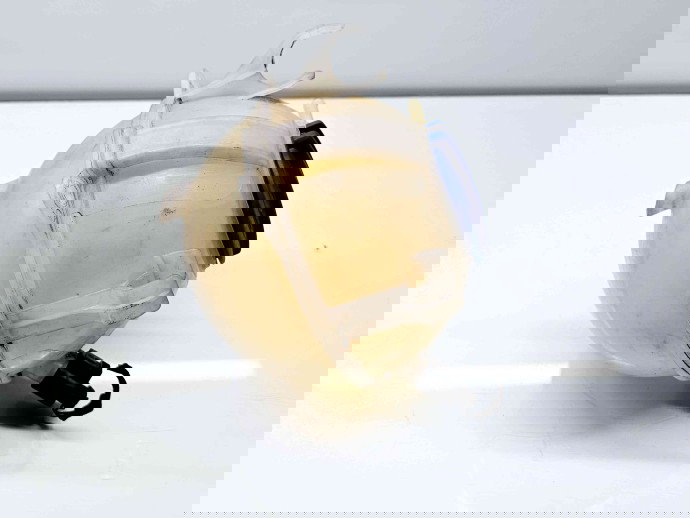 Vas expansiune Volkswagen Passat CC (357) [Fabr 2008-2012] 1K0121407A