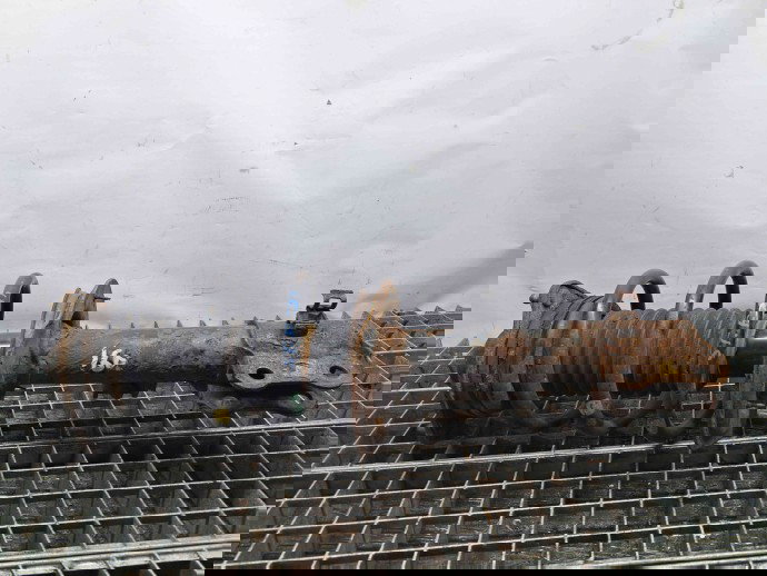 Amortizor stanga fata Kia Sportage III [Fabr 2010-2016] OEM 1.7 CRDI D4FD 1.7 CRDI D4FD 80KW / 109CP