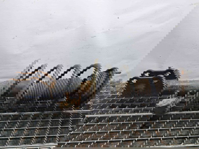 Amortizor stanga fata MAZDA 6 (GJ1) [Fabr 2014-2021] OEM 2.2 Skyactive-D 2.2 Skyactive-D 110KW / 150CP