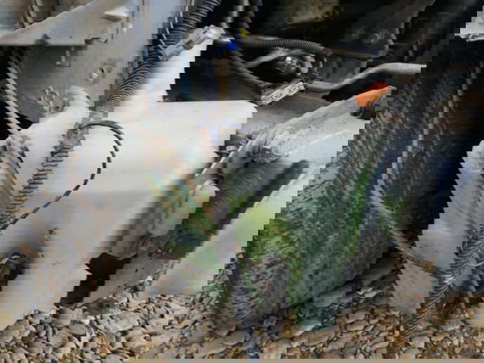 Vas strop gel Renault Laguna 2 1.9 diesel OEM 2001-2007