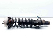 Amortizor stanga fata Bmw X6 (E71, E72) [Fabr 2007-2014] 6779968 3.0 M57 210KW / 286CP 3.0 M57 210KW / 286CP