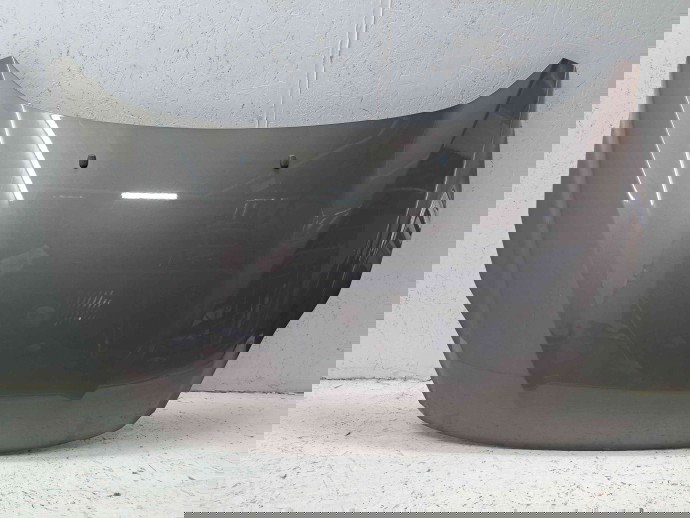 Capota motor Ford C-Max 2 [Fabr 2010-2015] Lunar Sky