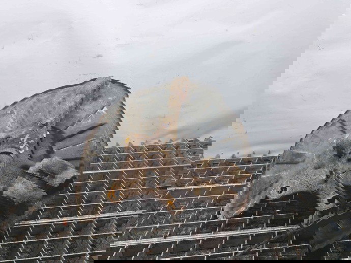 Fuzeta fata dreapta SMART Fortwo Coupe (W451) [Fabr 2006-2014] OEM 0.8 CDI 660951  