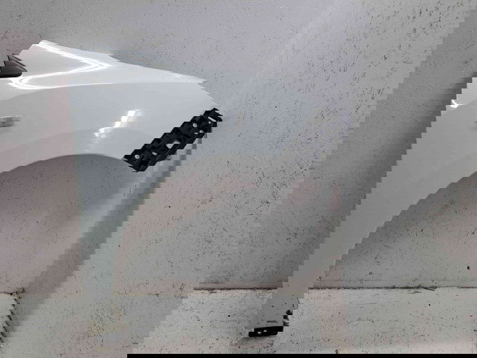 Aripa dreapta fata Dacia Lodgy [Fabr 2012-prezent] OV369