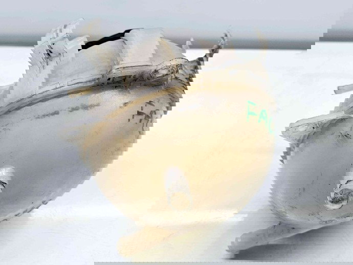 Vas expansiune Volkswagen Caddy IV Van (SAA, SAH) [Fabr 2015-2024] 1K0121407A