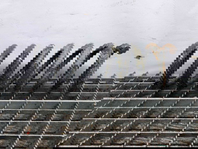 Arc Mercedes Clasa C (W204) [Fabr 2007-2014] OEM 2.2 CDI 651911 2.2 CDI 651911 80KW / 109CP