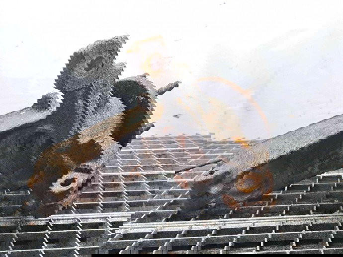 Fuzeta fata dreapta Ford Focus 3 (CB8) [Fabr 2011-2015] OEM 1.6 TDCI DV6 1.6 TDCI DV6 85KW / 115CP