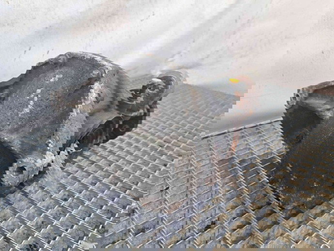 Grup diferential spate Mercedes Clasa E (W207) Coupe [Fabr 2009-2012] OEM 2.2 CDI 651911 2.2 CDI 651911 143KW / 194CP