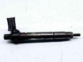 Injector LAND ROVER Range Rover Evoque [Fabr 2011-2018] 9687454480 | 0445116043 2.2 CRDI DW12C 147KW / 200CP