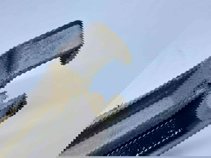 Suport bara dreapta fata Audi A6 (4F2, C6) [Fabr 2004-2010] 4F0807228