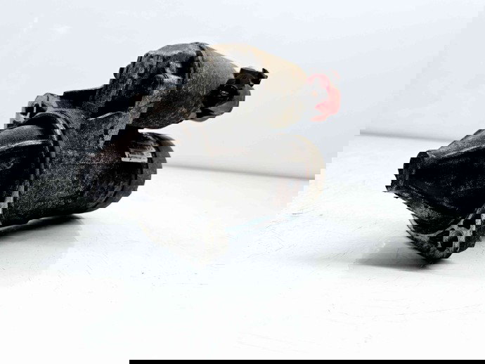   Electromotor 8 dinti MITSUBISHI Carisma (DA) [Fabr 1995-2007] M000T81284  1.9 Benz90KW  1.9 Benz90KW