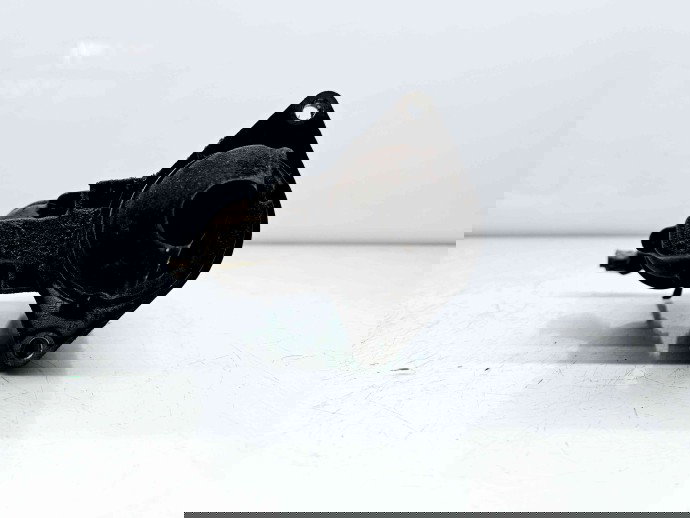   Electromotor 9 dinti Opel Corsa B [Fabr 1993-2002] 0001106011  1.0 Benz X10XE40KW / 54CP  1.0 Benz X10XE40KW / 54CP