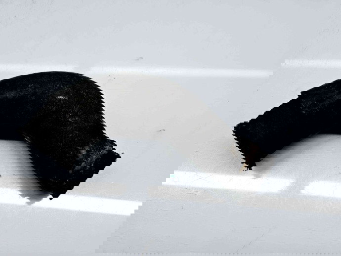 Furtun intercooler Hyundai Tucson (JM) [Fabr 2004-2010] 28261-27280 2.0 D4EA 103KW / 140CP 2.0 D4EA 103KW / 140CP