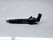 Injector Renault Megane 3 Combi [Fabr 2008-2015] 8200380253 | H8200294788 1.5 DCI K9K 81KW / 110CP 1.5 DCI K9K 81KW / 110CP