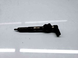 Injector Renault Megane 3 Combi [Fabr 2008-2015] 8200380253 | H8200294788 1.5 DCI K9K 81KW / 110CP 1.5 DCI K9K 81KW / 110CP