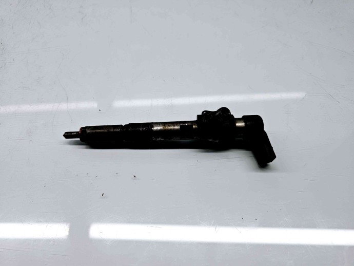 Injector Renault Megane 3 Combi [Fabr 2008-2015] 8200380253 | H8200294788 1.5 DCI K9K 81KW / 110CP 1.5 DCI K9K 81KW / 110CP