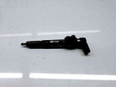 Injector Renault Megane 3 Combi [Fabr 2008-2015] 8200380253 | H8200294788 1.5 DCI K9K 81KW / 110CP 1.5 DCI K9K 81KW / 110CP