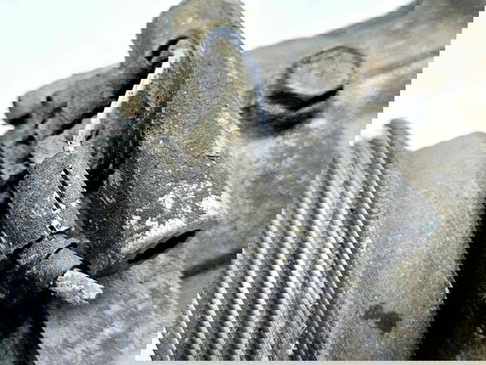 Compresor clima Renault Symbol / Thalia [Fabr 1998-2007] 8200600117 1.5 DCI K9K714 50KW / 68CP 1.5 DCI K9K714 50KW / 68CP