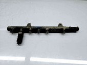 Rampa injectoare Renault Espace 4 [Fabr 2002-2014] 8200347176 | 0445214024 1.9 F9Q-A8 85KW / 115CP 1.9 F9Q-A8 85KW / 115CP