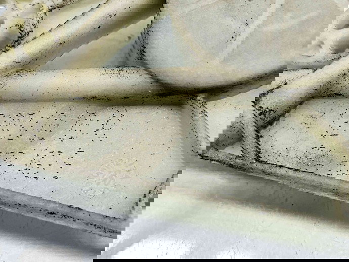 Macara electrica geam dreapta spate Volkswagen Polo (6R) [Fabr 2009-2016] 6R4839462E