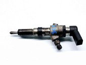 Injector Citroen C3 (II) [Fabr 2009-2016] 9654551080 1.4 TDCI F6JB 50