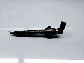 Injector Renault Clio 3 [Fabr 2005-2012] 8200380253 | H8200294788 1.5 DCI K9K 81KW / 110CP 1.5 DCI K9K 81KW / 110CP