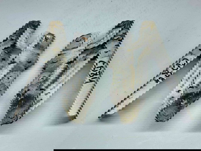 Set balamale capota Ford C-Max 2 [Fabr 2010-2015] AM51-R16801-AF /AM51-R16800-AF