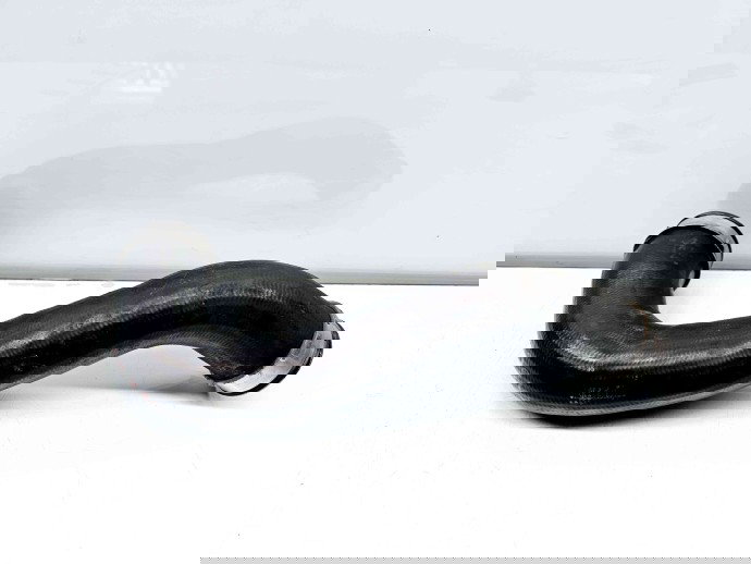 Furtun intercooler Volkswagen Touareg (7LA, 7L6) [Fabr 2003-2010] 7L6145790B 2.5 TDI BAC 128KW / 174CP