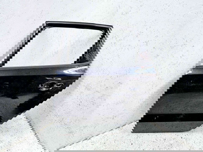 Usa stanga spate Volkswagen Polo (6R) [Fabr 2009-2016] LC9X