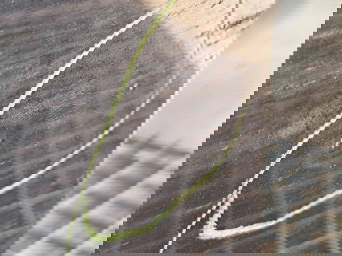 Usa stanga fata Opel Insignia A [Fabr 2008-2016] GBG