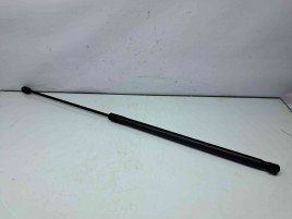 Amortizor capota Opel Insignia A [Fabr 2008-2016] 13252173