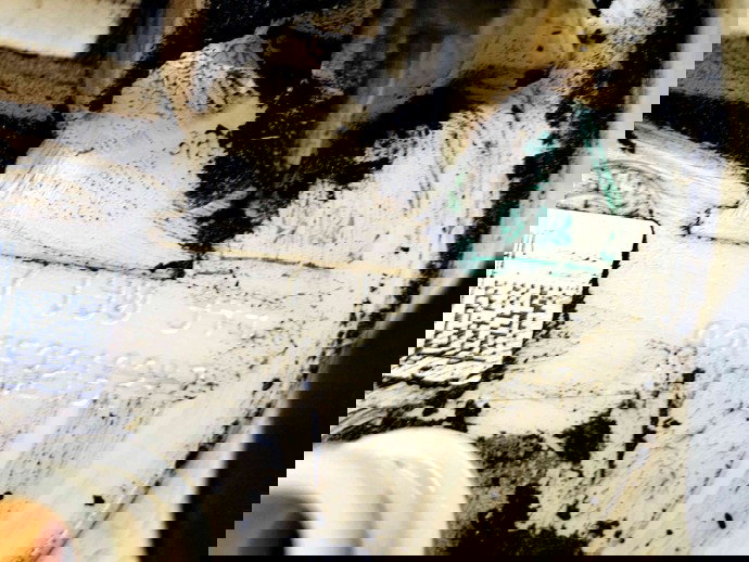 Sonda litrometrica Bmw 1 (E81, E87) [Fabr 2004-2010] 7190944 2.0 N47D20 105KW / 143CP 2.0 N47D20 105KW / 143CP