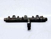 Rampa injectoare Citroen Xsara Picasso [Fabr 1999-2011] 0445214019 2.0 62KW / 84CP 2.0 62KW / 84CP