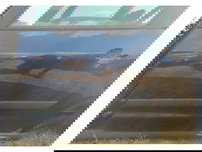 Usa stanga spate Volkswagen Sharan 1.9 BVK OEM 1995-2010