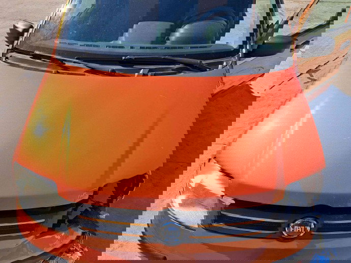 Capota motor Fiat Panda (169) [Fabr 2003-2012] Portocaliu