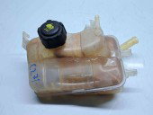 Vas expansiune Renault Megane 3 Combi [Fabr 2008-2015] 217100005R