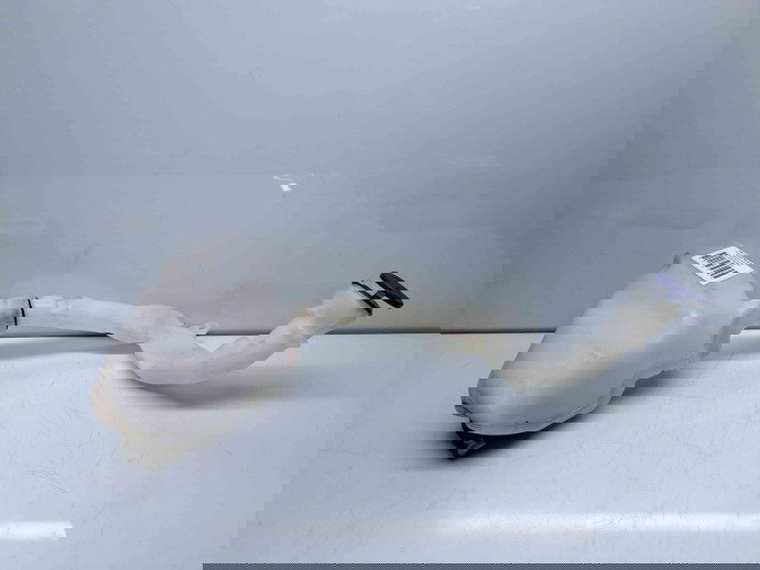  Vas lichid parbriz  Citroen C3 (II) [Fabr 2009-2016] 9683988680