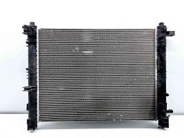 Radiator apa Dacia Duster (PH2, H79) [Fabr 2013-2017] 214100078R 1.2 TCE H5F408 85KW / 116CP