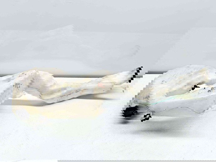  Vas lichid parbriz MINI Cooper (R56) [Fabr 2006-2014] 7157124