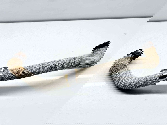 Conducta gaze LAND ROVER Freelander 2 (FA) [Fabr 2006-2014] 9661897380 2.2 CRDI DW12C 147KW / 200CP