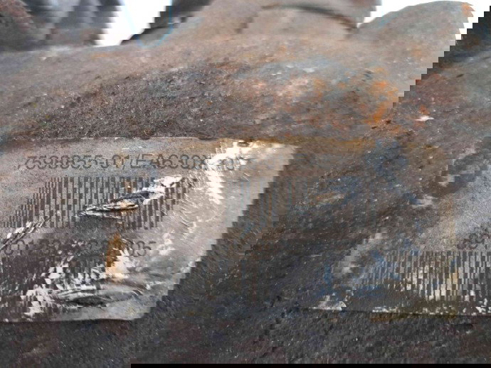 Grup diferential spate Bmw 1 (E81, E87) [Fabr 2004-2010] 7598855-01 2.0 N47 85KW / 115CP