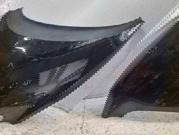 Capota motor Seat Altea (5P1) [Fabr 2004-2010] LC9Z