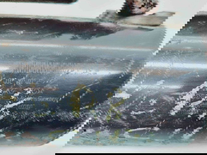  Electromotor 10 dinti Audi A4 (8K2, B8.5) Facelift [Fabr 2008-2015] 03L911021E  2.0 TDI CNHC120KW / 163CP