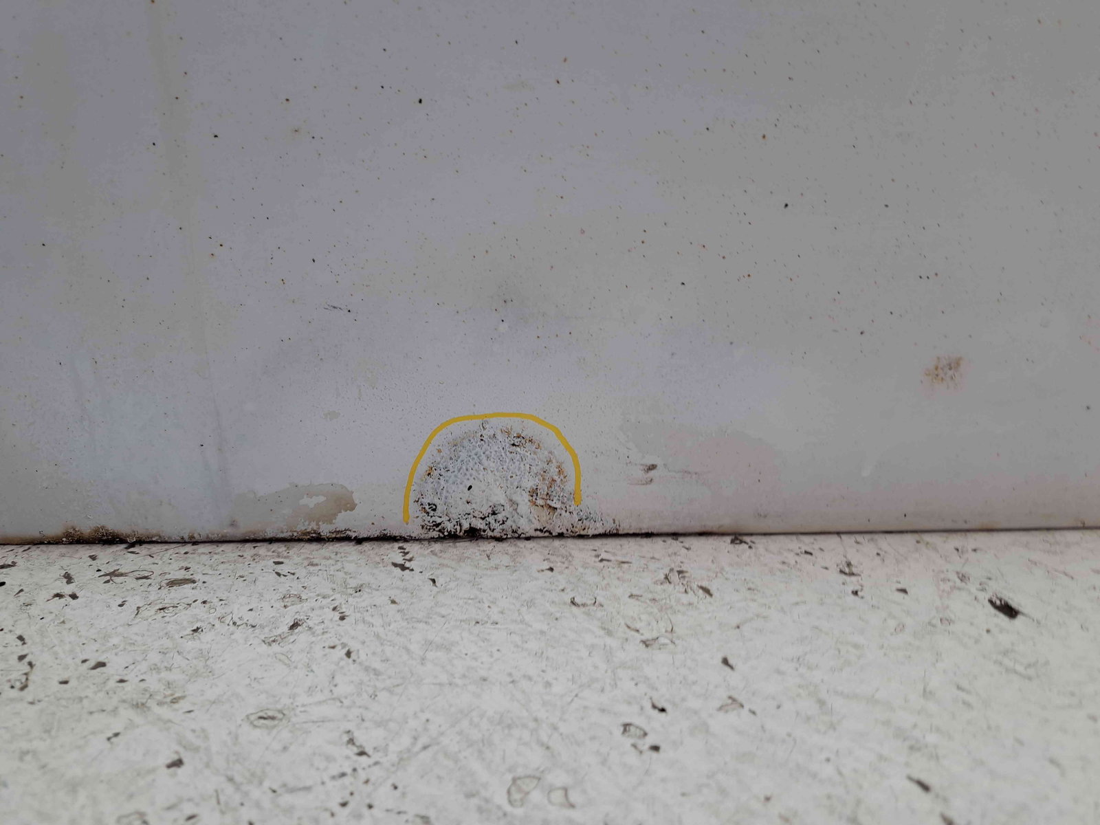 Usa stanga fata Mercedes Vito Autobus (W639) [Fabr 2003-2014] 9147 ALB ARCTIC - imagine 5