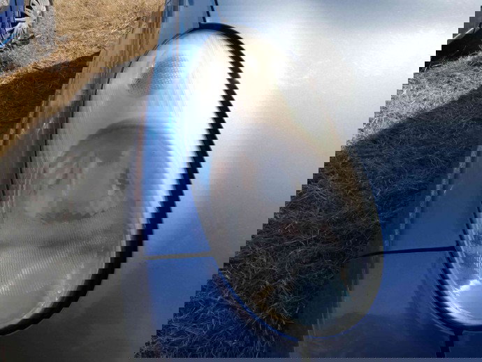 Far dreapta OEM Nissan Micra 1.2 2003-2010