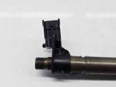 Injector Peugeot 508 Break GT [Fabr 2010-2018] 024FE1D038 2.2 HDI 4HL 150KW / 204CP