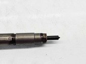 Injector Peugeot 508 Break GT [Fabr 2010-2018] 024FE1D038 2.2 HDI 4HL 150KW / 204CP