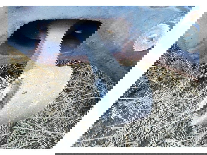 Suport Antibalans Skoda Fabia 1 1.4 gri OEM 1999-2008