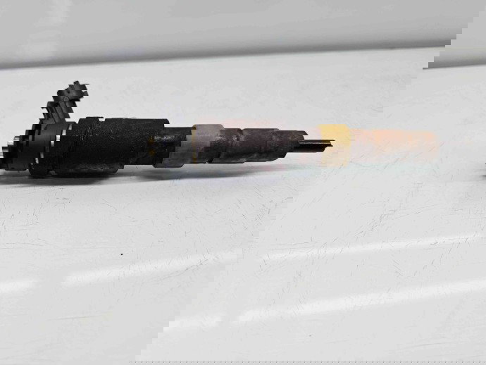 Injector Peugeot 208 [Fabr 2012-2024] 0445110339 1.4 HDI 8HR 50KW / 68CP