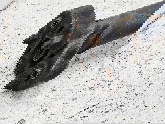 Cardan Mercedes Clasa C Coupe (C204) Facelift AMG [Fabr 2011-2015] A2040716 2.2 CDI 651911 125KW / 170CP